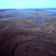 Coastal Wetlands Monitoring Report and Database