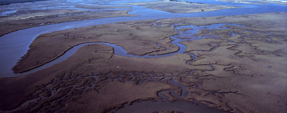Coastal Wetlands Monitoring Report ...